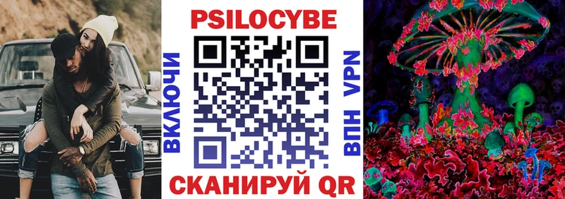 наркошоп  Нерчинск  shop как зайти  Галлюциногенные грибы Magic Shrooms 